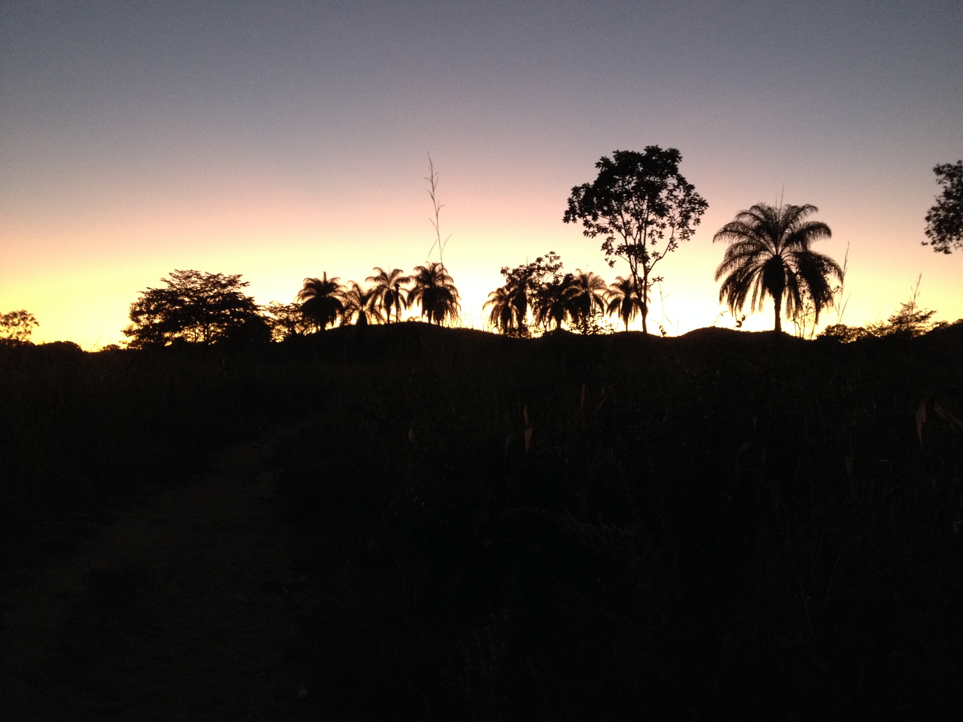 Sol nascendo atrás de uma montanha arborizada